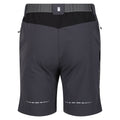 Seal Grey-Black - Back - Regatta Mens Mountain II Shorts