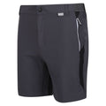 Seal Grey-Black - Side - Regatta Mens Mountain II Shorts