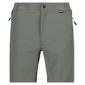 Agave Green-Ash - Front - Regatta Mens Mountain II Shorts