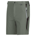 Agave Green-Ash - Side - Regatta Mens Mountain II Shorts