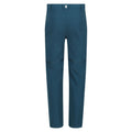 Moroccan Blue - Back - Regatta Childrens-Kids Highton Stretch Zip-Off Walking Trousers