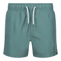 Sea Pine - Front - Regatta Mens Mawson II Swim Shorts