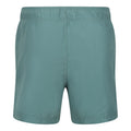 Sea Pine - Back - Regatta Mens Mawson II Swim Shorts