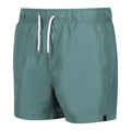 Sea Pine - Side - Regatta Mens Mawson II Swim Shorts