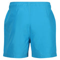 Fluro Blue - Back - Regatta Mens Mawson II Swim Shorts