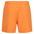 Permission Orange - Back - Regatta Mens Mawson II Swim Shorts