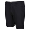 Ash - Pack Shot - Regatta Mens Cobain Shorts