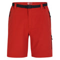 Tuscan Red - Front - Dare 2B Mens Tuned In Pro Lightweight Cargo Shorts