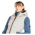 Pelican - Lifestyle - Dare 2B Womens-Ladies Reputable Padded Gilet