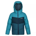 Pagoda Blue-Reflecting Lake-Dragonfly - Front - Regatta Childrens-Kids Lofthouse VI Insulated Jacket