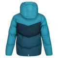 Pagoda Blue-Reflecting Lake-Dragonfly - Back - Regatta Childrens-Kids Lofthouse VI Insulated Jacket