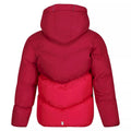 Berry Pink-Pink Potion - Back - Regatta Childrens-Kids Lofthouse VI Insulated Jacket