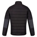 Dark Grey-Black - Back - Regatta Mens Halton VI Soft Shell Jacket