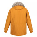 Cathay Spice - Back - Regatta Mens Salinger III Parka