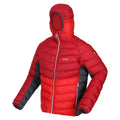 Dark Red-Chinese Red - Side - Regatta Mens Harrock Puffer Jacket