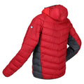 Dark Red-Chinese Red - Lifestyle - Regatta Mens Harrock Puffer Jacket