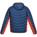 Admiral Blue-Pacific Green - Back - Regatta Mens Harrock Puffer Jacket