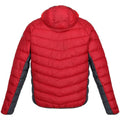 Dark Red-Chinese Red - Back - Regatta Mens Harrock Puffer Jacket