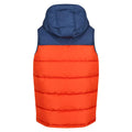 Admiral Blue-Rusty Orange - Back - Regatta Mens Nevado Heavyweight Sleeveless Body Warmer