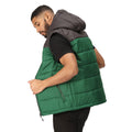 Ash-Eden - Lifestyle - Regatta Mens Nevado Heavyweight Sleeveless Body Warmer