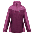 Amaranth Haze-Violet - Front - Regatta Womens-Ladies Calderdale Winter Waterproof Jacket