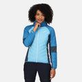 Ethereal Blue-Vallarta Blue - Side - Regatta Womens-Ladies Trutton Lightweight Padded Jacket