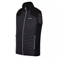 Dark Grey-Black - Side - Regatta Mens Halton VI Lightweight Body Warmer