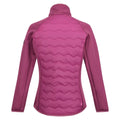 Amaranth Haze - Back - Regatta Womens-Ladies Clumber III Hybrid Jacket