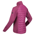 Amaranth Haze - Lifestyle - Regatta Womens-Ladies Clumber III Hybrid Jacket