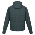 Green Gables - Back - Regatta Mens Daxford Full Zip Jacket