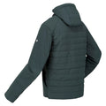 Green Gables - Lifestyle - Regatta Mens Daxford Full Zip Jacket