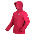 Berry Pink-Pink Potion - Side - Regatta Womens-Ladies Highton II Stretch Padded Jacket