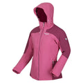 Violet-Amaranth Haze - Side - Regatta Womens-Ladies Highton II Stretch Padded Jacket