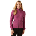 Violet - Lifestyle - Regatta Womens-Ladies Newhill Marl Full Zip Fleece Jacket