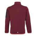 Rumba Red-Red Sky - Back - Regatta Childrens-Kids Newhill Fleece Jacket