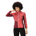 Rumba Red-Mineral Red - Lifestyle - Regatta Womens-Ladies Yare VIII Lightweight Jacket