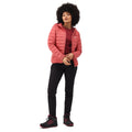 Mineral Red-Rumba Red - Lifestyle - Regatta Womens-Ladies Marizion Hooded Padded Jacket