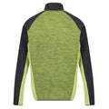 Green Algae-Seal Grey - Back - Regatta Mens Hepley Full Zip Fleece Jacket