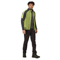 Green Algae-Seal Grey - Pack Shot - Regatta Mens Hepley Full Zip Fleece Jacket