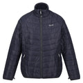 Quiet Green-Seal Grey - Pack Shot - Regatta Womens-Ladies Wentwood VIII 2 in 1 Jacket