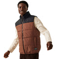 Dark Brown-Black - Lifestyle - Regatta Mens Hawfinch Baffled Gilet