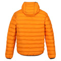 Orange Pepper-Burnt Copper - Back - Regatta Mens Marizion Baffled Hooded Padded Jacket