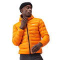 Orange Pepper-Burnt Copper - Lifestyle - Regatta Mens Marizion Baffled Hooded Padded Jacket