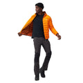 Orange Pepper-Burnt Copper - Close up - Regatta Mens Marizion Baffled Hooded Padded Jacket