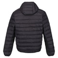 Ash-Danger Red - Back - Regatta Mens Marizion Baffled Hooded Padded Jacket