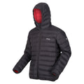 Ash-Danger Red - Side - Regatta Mens Marizion Baffled Hooded Padded Jacket