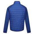 New Royal-Persimmon - Back - Regatta Mens Clumber IV Full Zip Hybrid Jacket