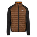 Dark Brown-Black - Front - Regatta Mens Clumber IV Full Zip Hybrid Jacket