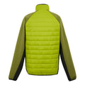 Grenoble Green-Nephrite Green - Back - Regatta Mens Clumber IV Full Zip Hybrid Jacket