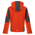 Rusty Orange-Slate Grey - Back - Regatta Childrens-Kids Acidity VI Lightweight Soft Shell Jacket